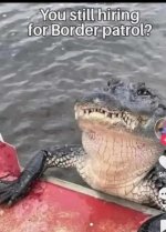 crocodiles-still-hiring-for-border-patrol.jpg