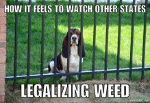 a-copious-amount-of-cannabis-memes-3.jpg