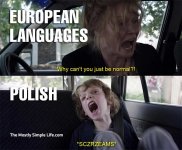 polish-screams.jpeg