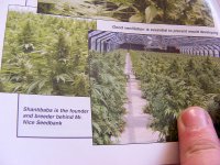 ECC- A Great Book Using The Best Examples.jpg
