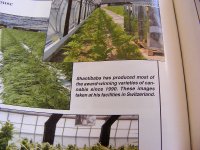The Only Breeder To Be Mentioned In Book-ECC.jpg