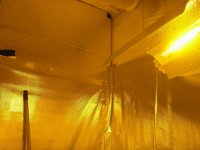 Cover Celotex With Diamond Mylar- Then Frame.jpg