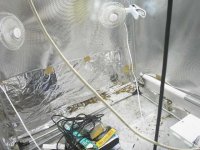 Diamond Mylar Homebox-Version One.jpg