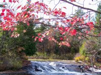 Tupper Lake Creek.jpg