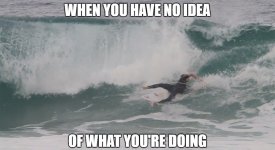 surfingmeme1.jpg