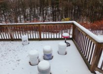 Snow 102824 LR.jpg Snow 102824 LR.jpg