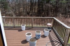 Spring Deck LR(1).jpg Spring Deck LR(1).jpg