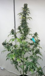 IMG_8166.jpeg
