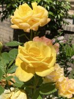 IMG_6856.jpeg