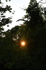 SS 070525 LR 1.jpg