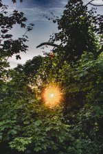 SS 070525 LR A_1.jpg