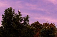 SS 070525 LR 2.jpg