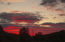 Vista 070825 DSC_2672 LR A.jpg