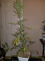 20250803_041735.jpg 20250803_041735.jpg