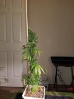 20250908_004915.jpg 20250908_004915.jpg